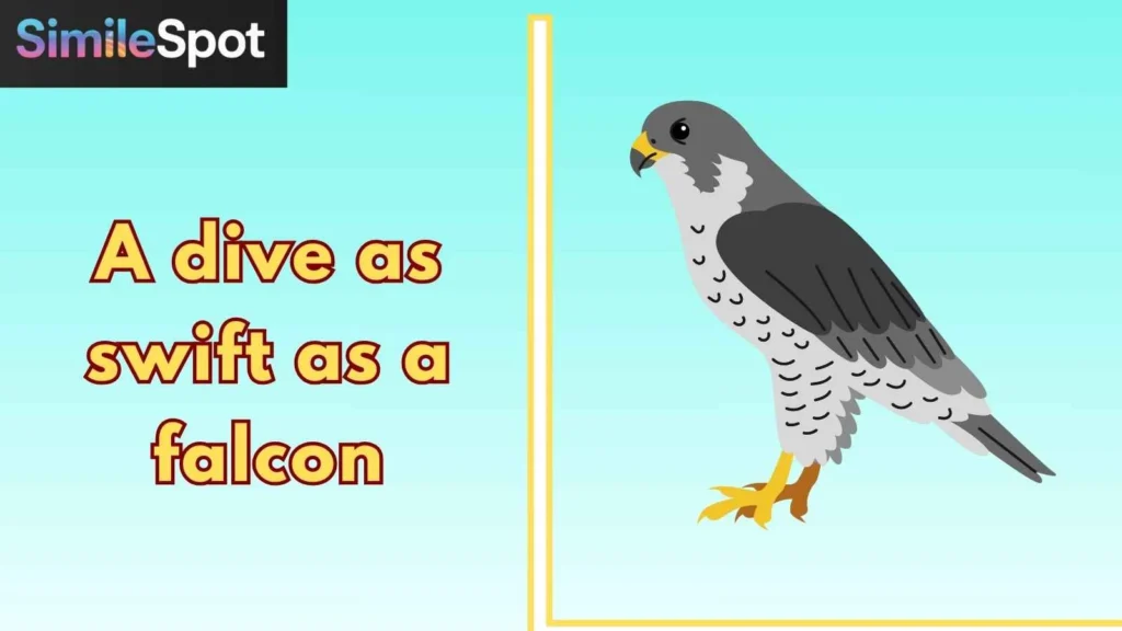 A dive as swift as a falcon
