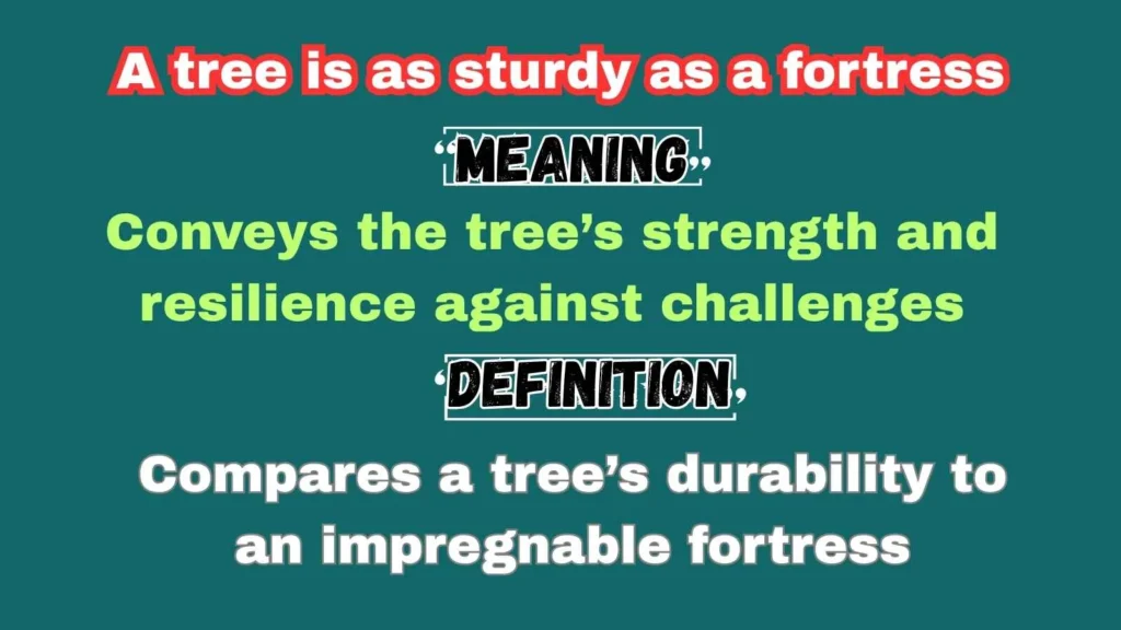 A tree is as sturdy as a fortress