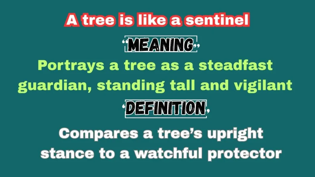 A tree is like a sentinel