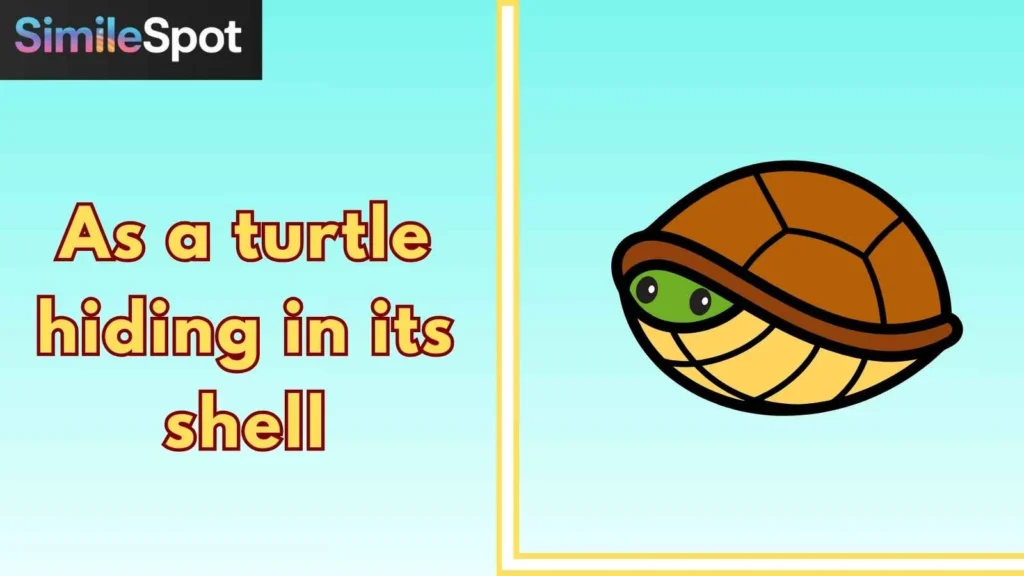As a turtle hiding in its shell