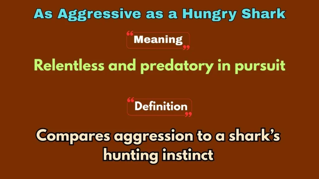 As Aggressive as a Hungry Shark