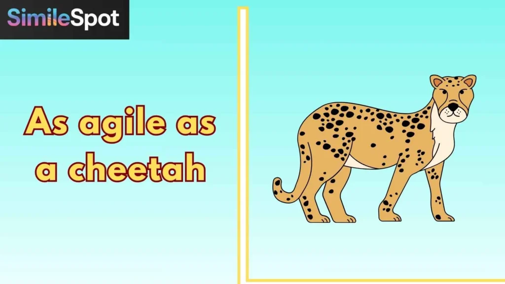 As agile as a cheetah