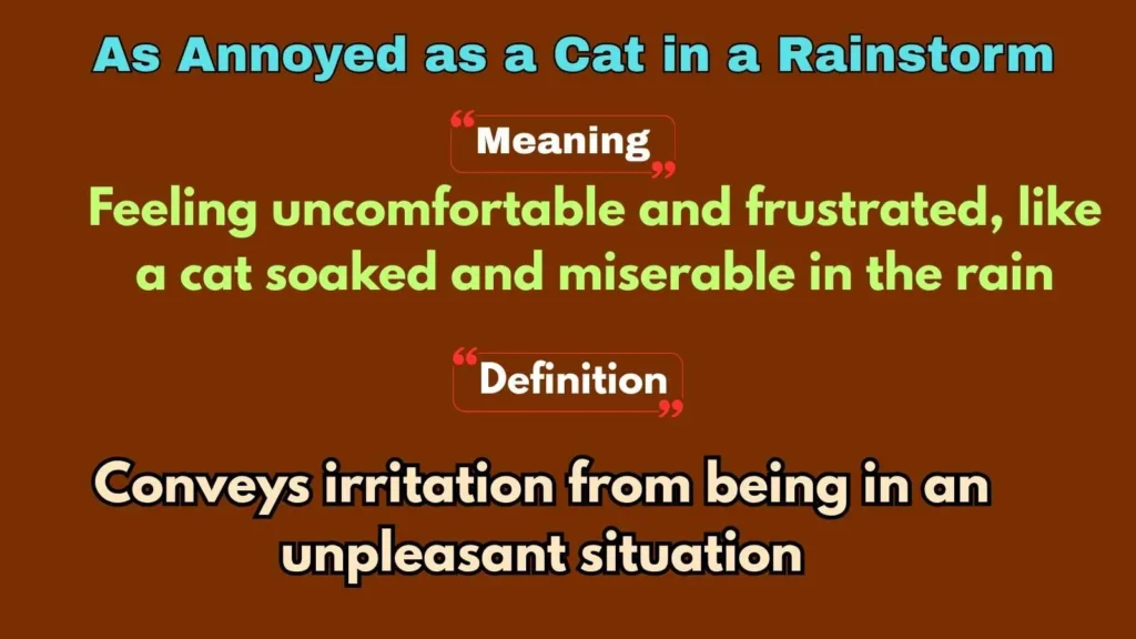 As Annoyed as a Cat in a Rainstorm