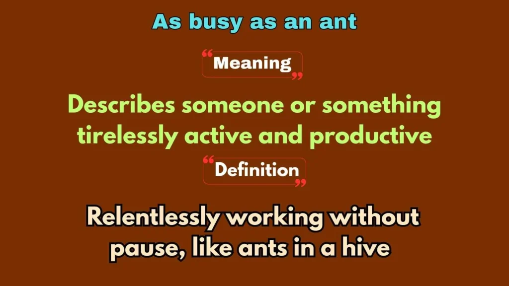 As busy as an ant
