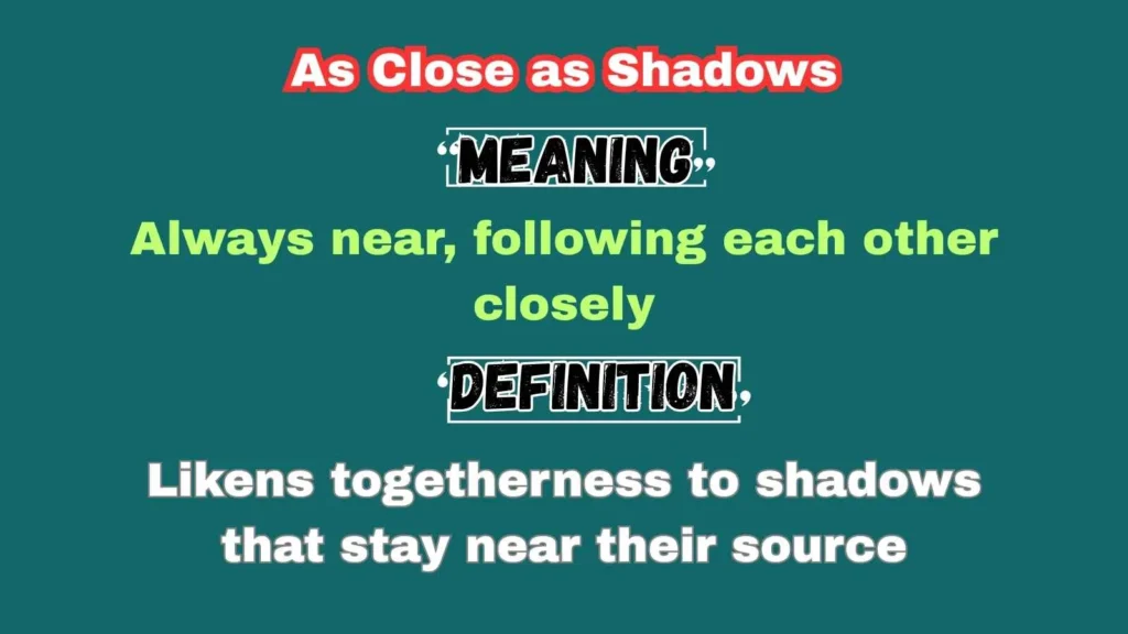 As Close as Shadows