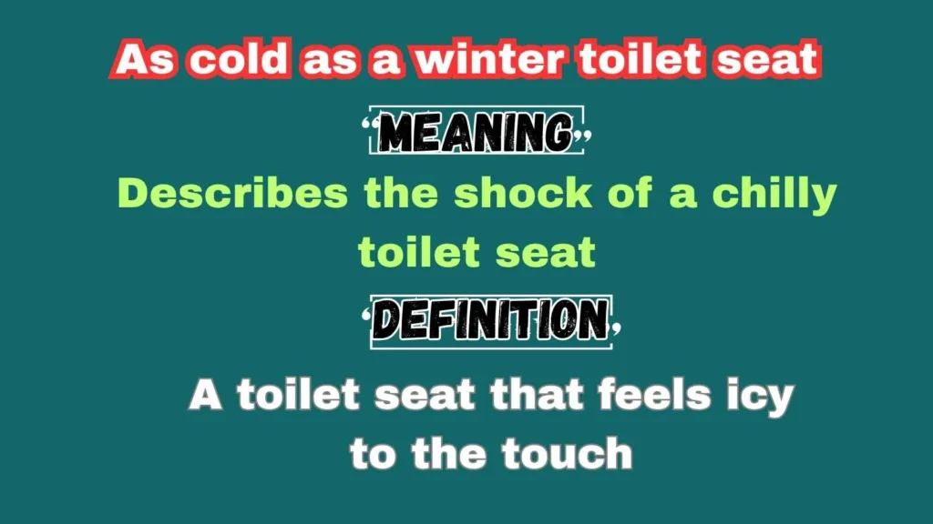As cold as a winter toilet seat
