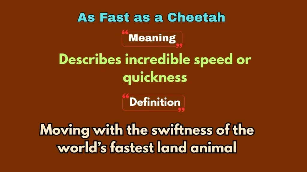 As Fast as a Cheetah