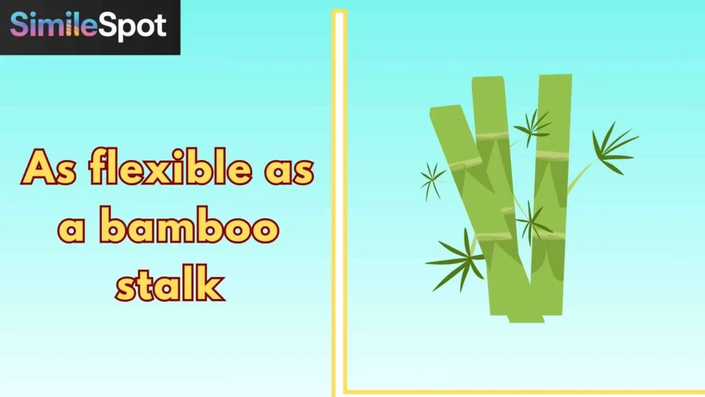 As flexible as a bamboo stalk