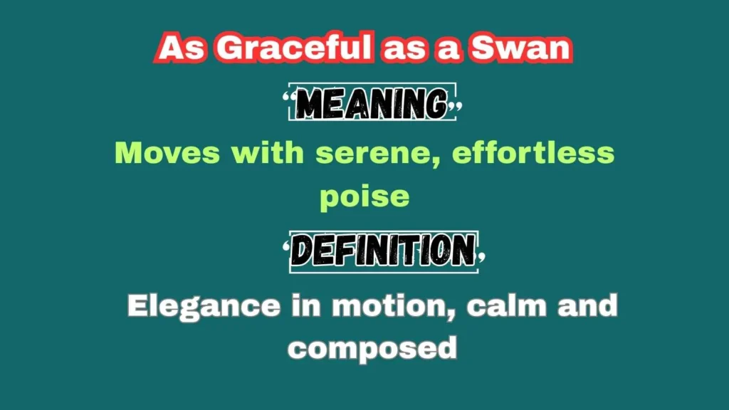 As Graceful as a Swan