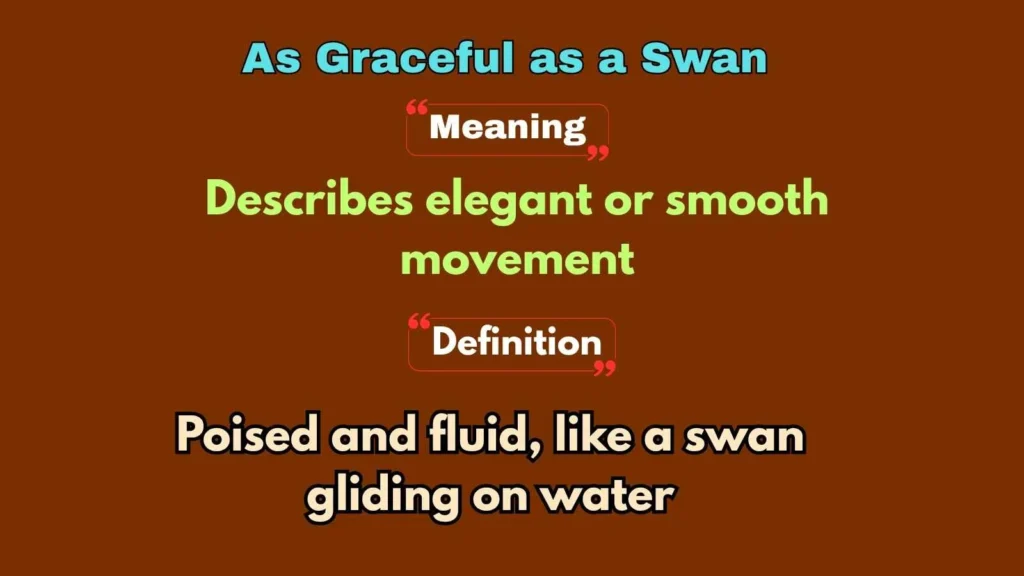 As Graceful as a Swan