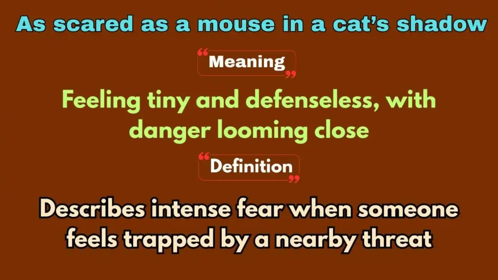 As scared as a mouse in a cat’s shadow