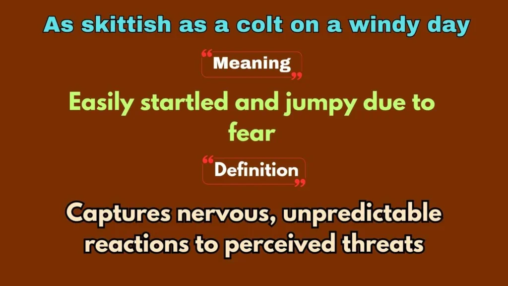 As skittish as a colt on a windy day