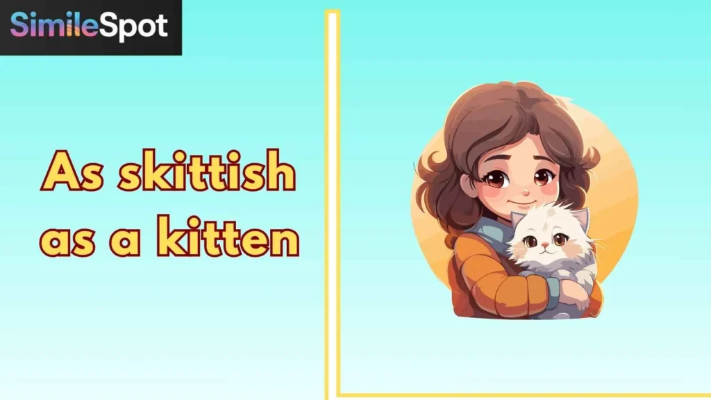 As skittish as a kitten