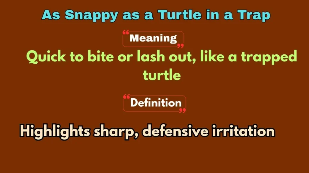 As Snappy as a Turtle in a Trap