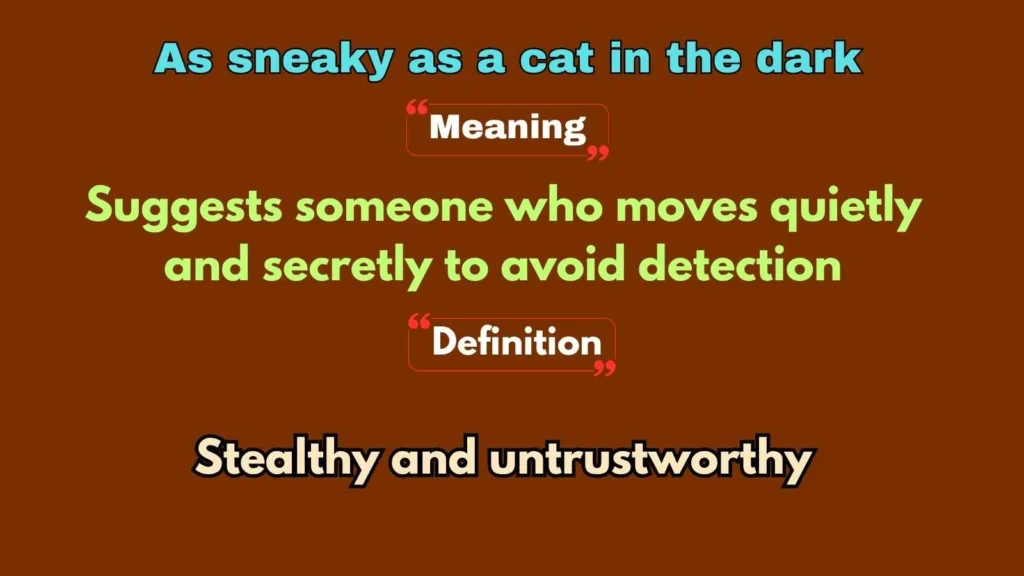 As sneaky as a cat in the dark
