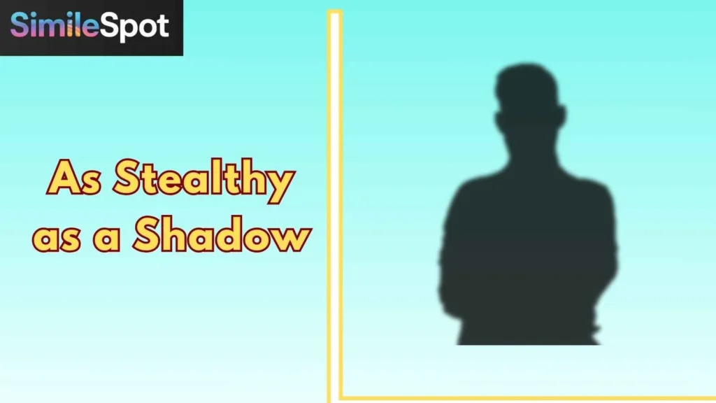 As Stealthy as a Shadow