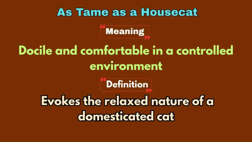 As Tame as a Housecat