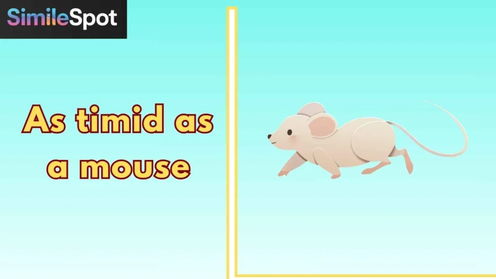 As timid as a mouse