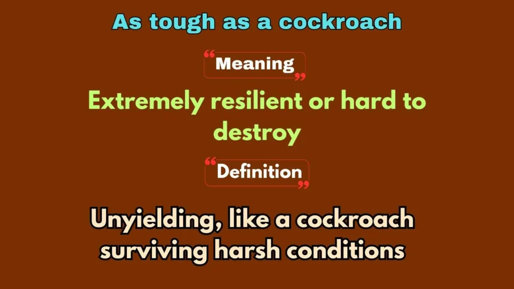 As tough as a cockroach
