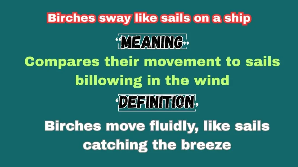 Birches sway like sails on a ship