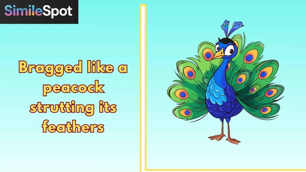 Bragged like a peacock strutting its feathers