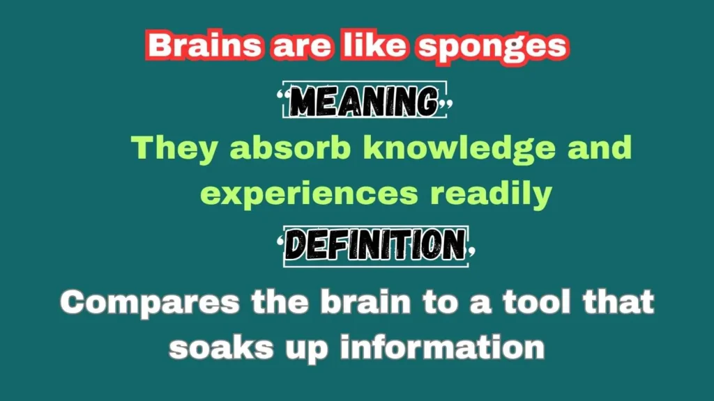 Brains are like sponges