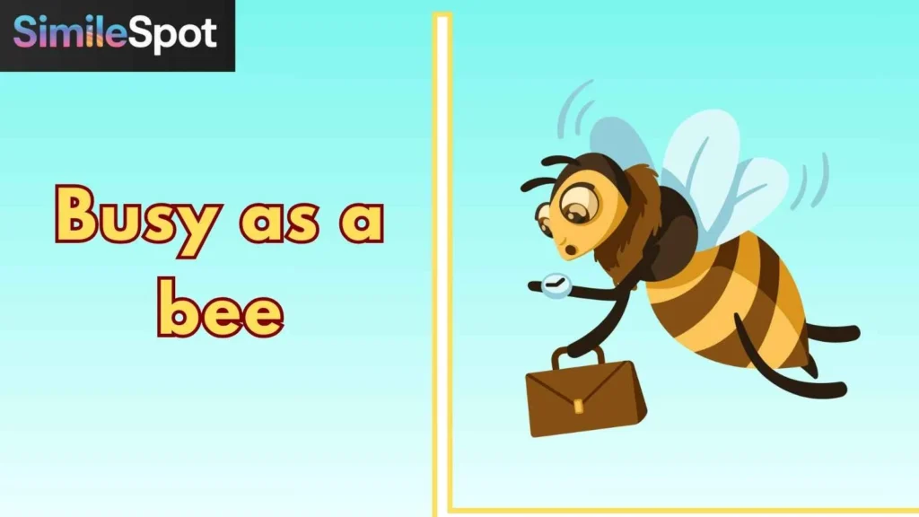 Busy as a bee