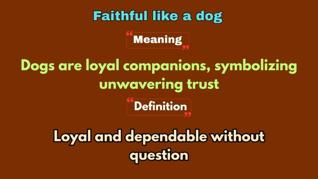 Faithful like a dog