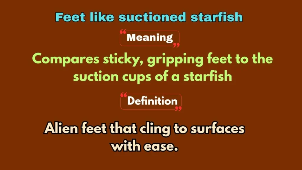 Feet like suctioned starfish