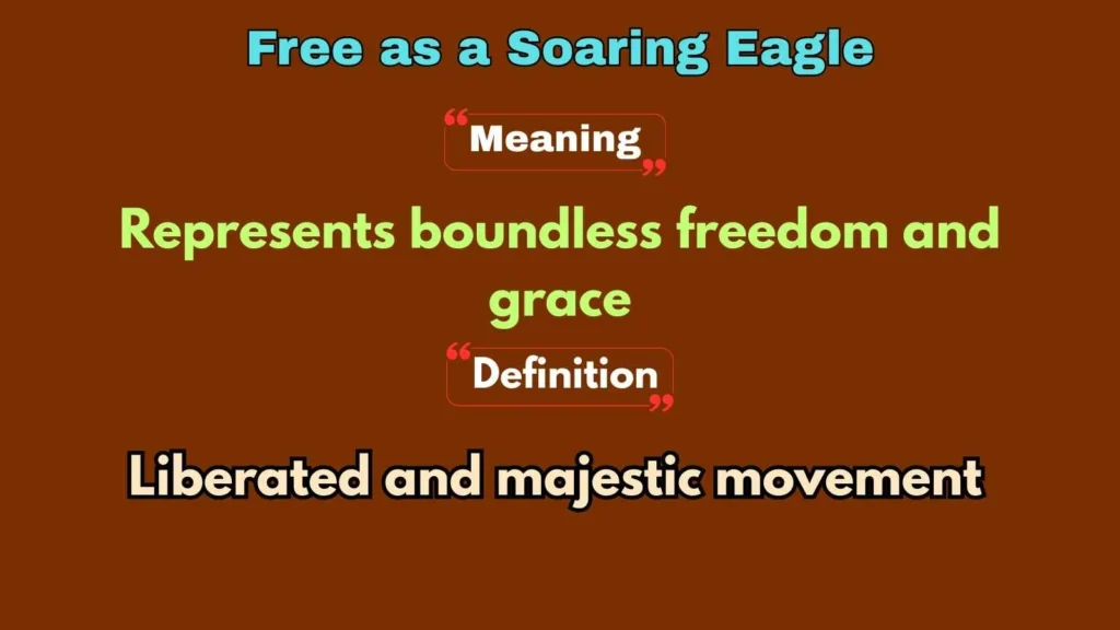 Free as a Soaring Eagle