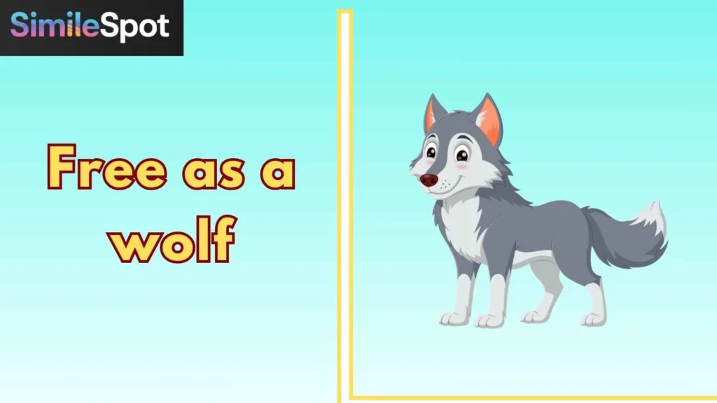 Free as a wolf