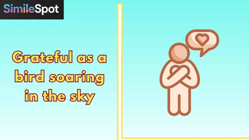 Grateful as a bird soaring in the sky