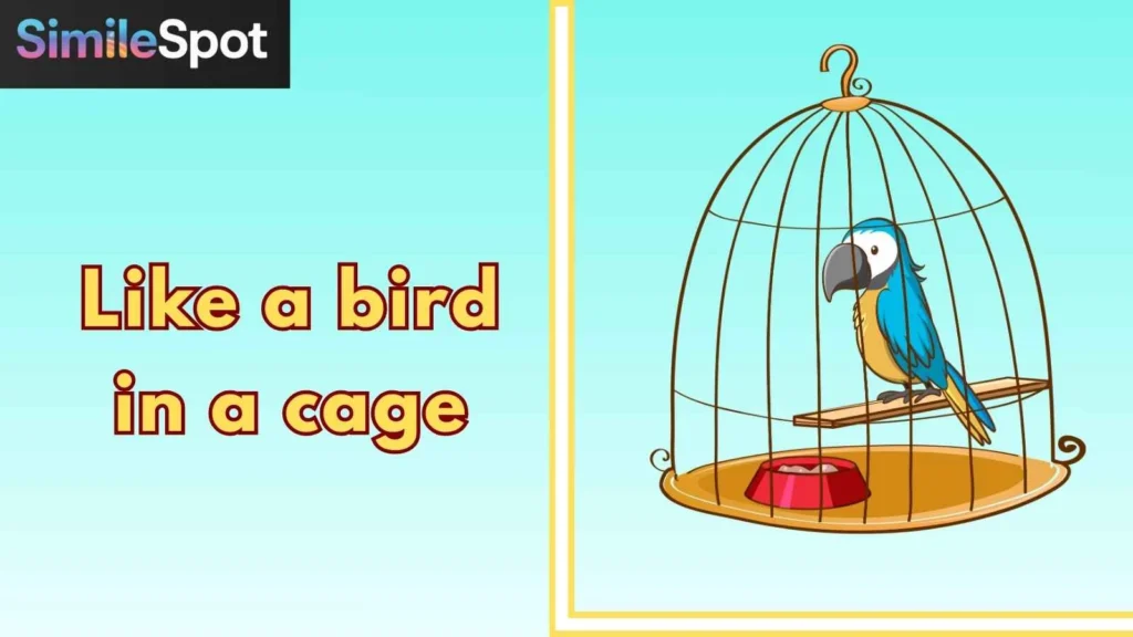 Like a bird in a cage