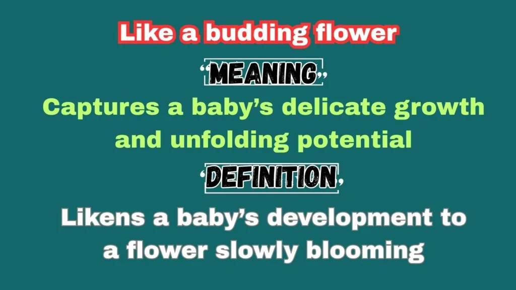 Like a budding flower