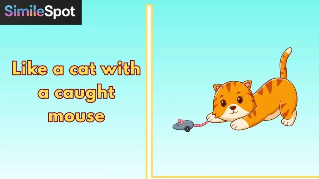 Like a cat with a caught mouse
