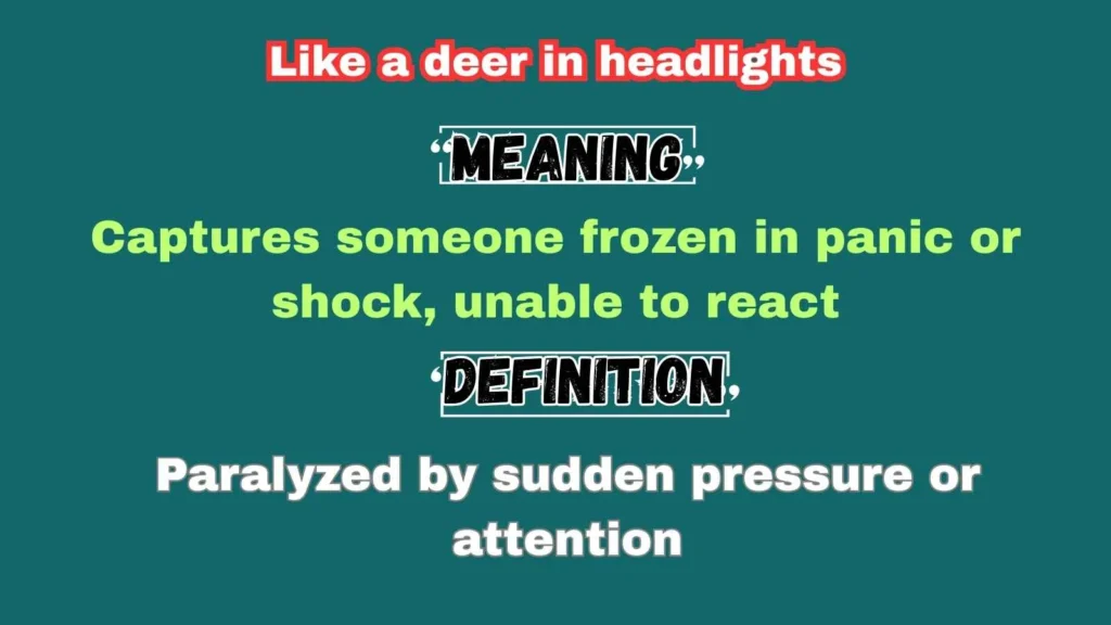 Like a deer in headlights