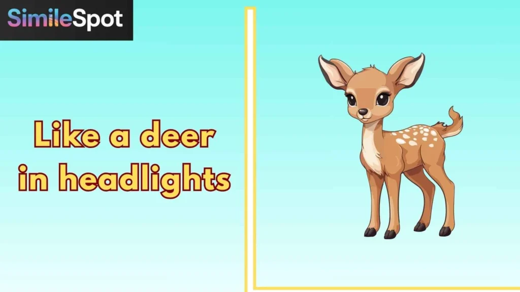 Like a deer in headlights