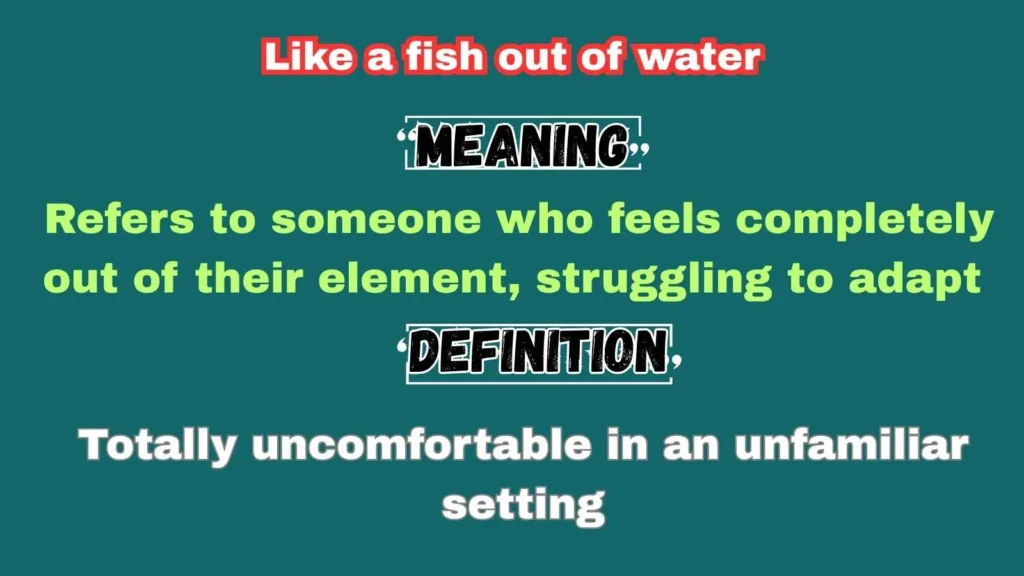 Like a fish out of water