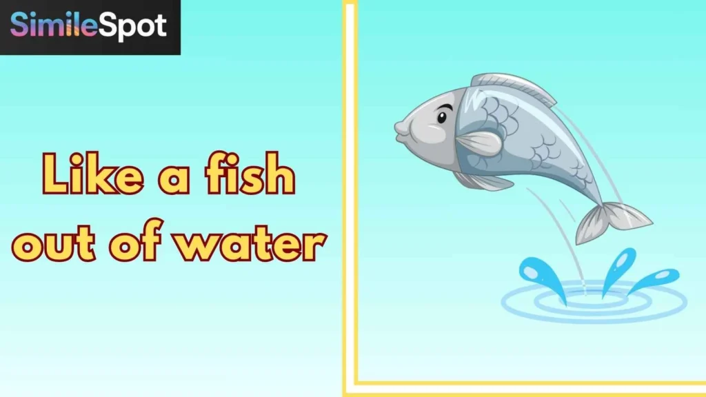 Like a fish out of water