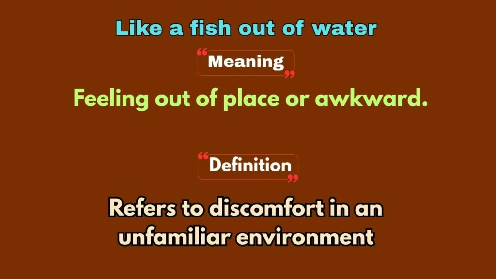 Like a fish out of water
