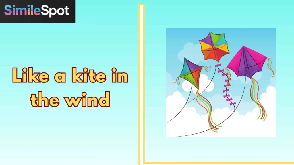 Like a kite in the wind