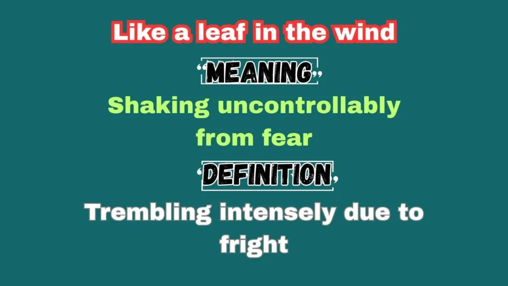 Like a leaf in the wind
