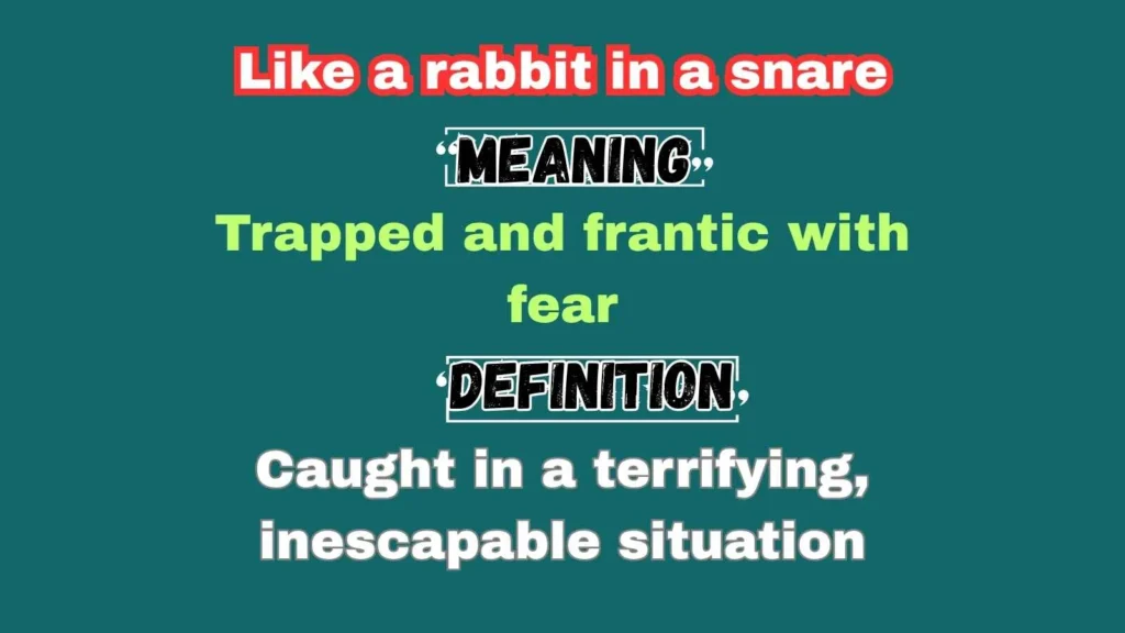 Like a rabbit in a snare