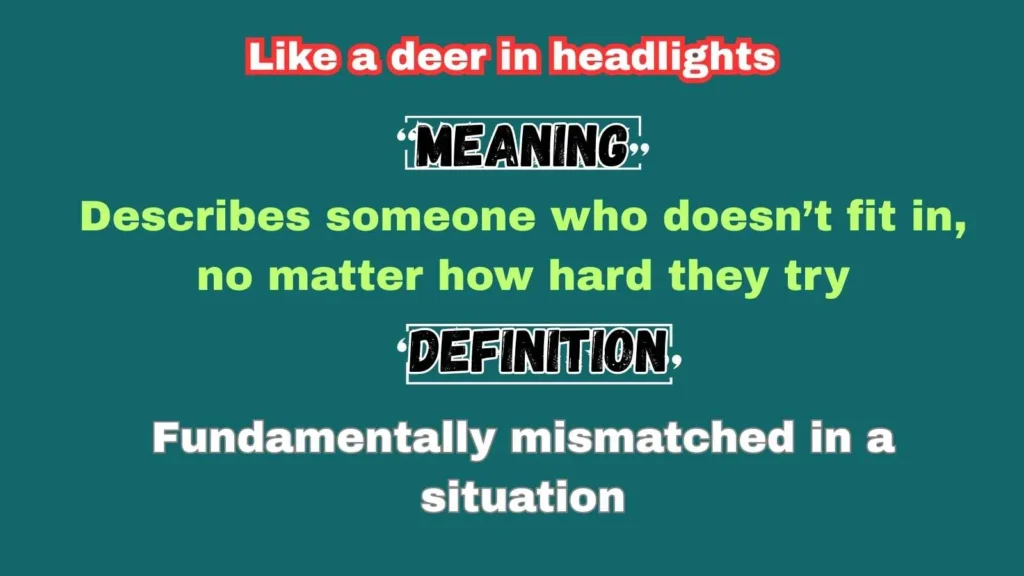 Like a square peg in a round hole