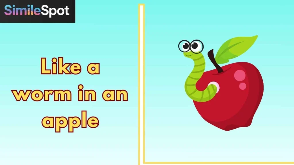 Like a worm in an apple