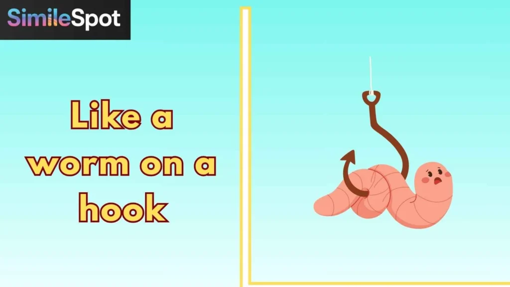 Like a worm on a hook