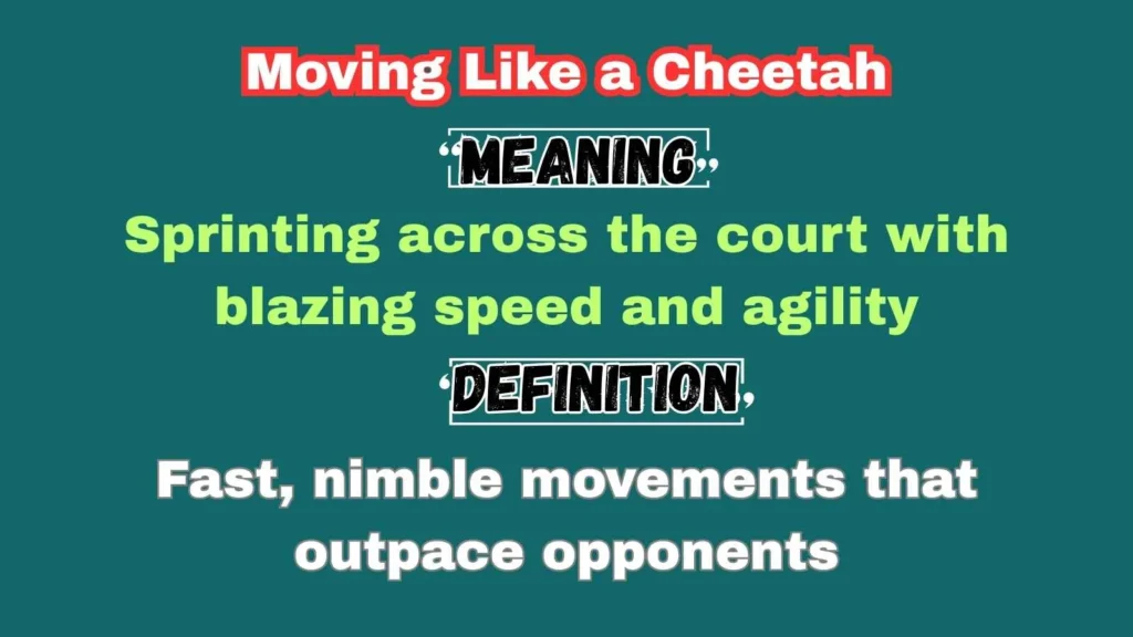 Moving Like a Cheetah