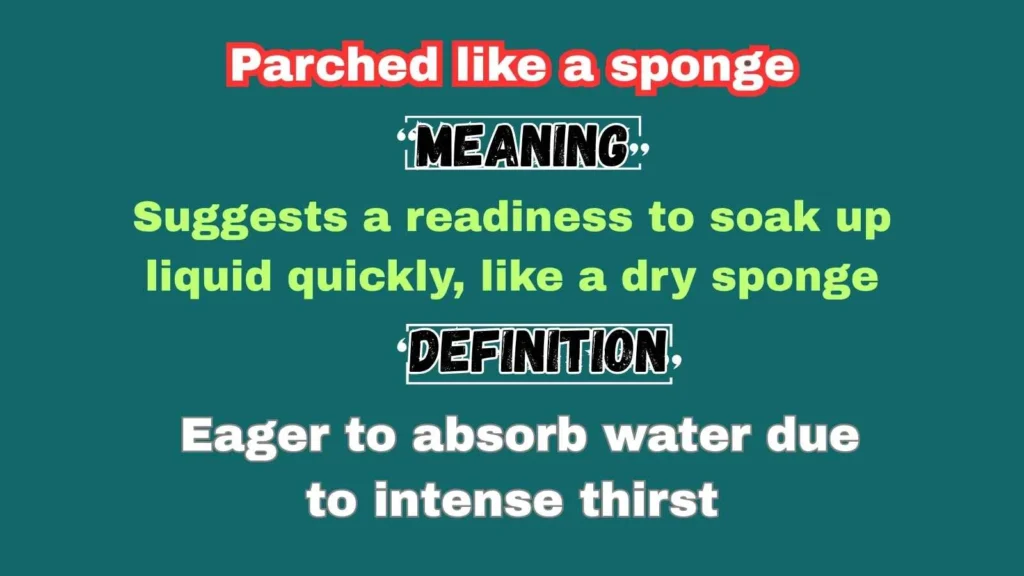 Parched like a sponge