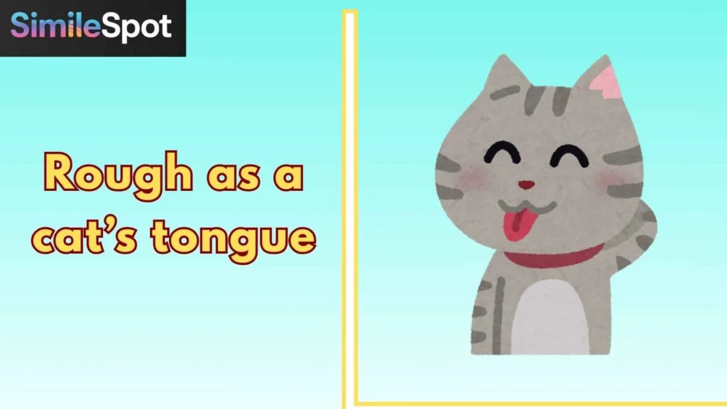 Rough as a cat’s tongue