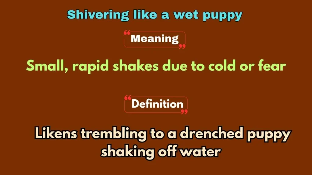 Shivering like a wet puppy